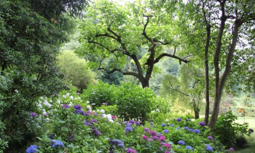 Das Rezept für saubere Pflastersteine: Geheimtipp aus dem Gartenparadies