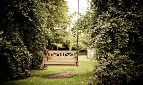 Aus dem Dornröschenschlaf erwacht: Wie Sie Ihren verwahrlosten Garten in eine blühende Oase verwandeln