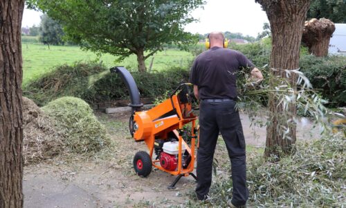 Wenn der Grünschnitt zum Problem wird: Diese Lösung spart Zeit
