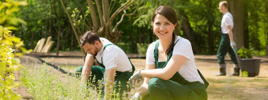 Gärtner pflegen Pflanzen im Park | Green Jobs